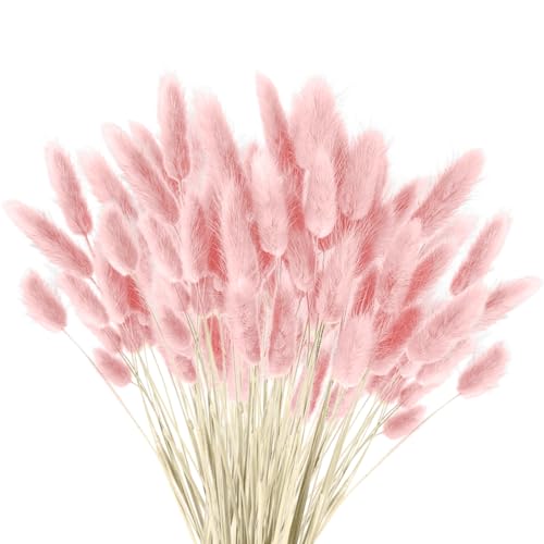 120 st torkad pampasgräs, torkade blommor, pampasgräs, växter, fluffiga blommor, boho heminredning, blomsterarrangemang (rosa)