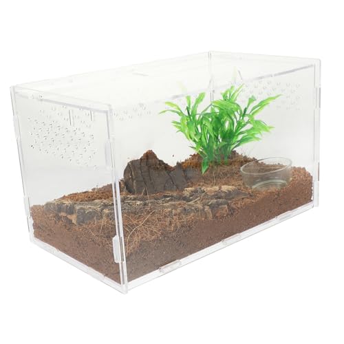 Boîte élevage reptiles TOYANDONA terrarium transparent
