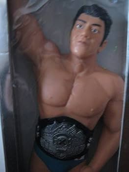 船木誠勝 PANCRASE パンクラス フィギュア 未開封 希少 2025年最新】船木誠勝 フィギュアの人気アイテム - メルカリ