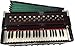 Harmonium 9 Stopper, Chudidaar Bellow 42 key 2 Reed Bass Male Coupler Harmonium with Cover/Indian Harmonium/Professional Harmonium/Handmade Harmonium/Musical Instruments