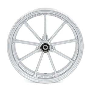 41n yepfdil. sl500 . ss300