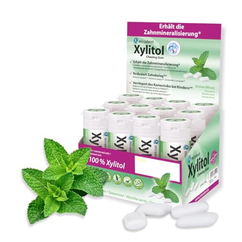 miradent Xylitol Zahnpflegekaugummi Spearmint Display 12 St. | erfrischender Geschmack | zuckerfrei | vegan | kariespräventiv | für unterwegs