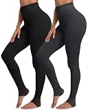 CHRLEISURE Women's Fleece Lined Tights - Fake Sheer Warm Pantyhose Thick Winter Leggings(Black Gray, XS/S)