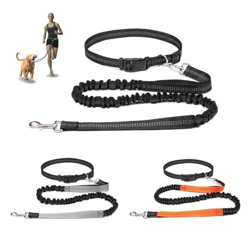 Longe pour chien réglable : solution mains libres pour corriger les tractions en bleu