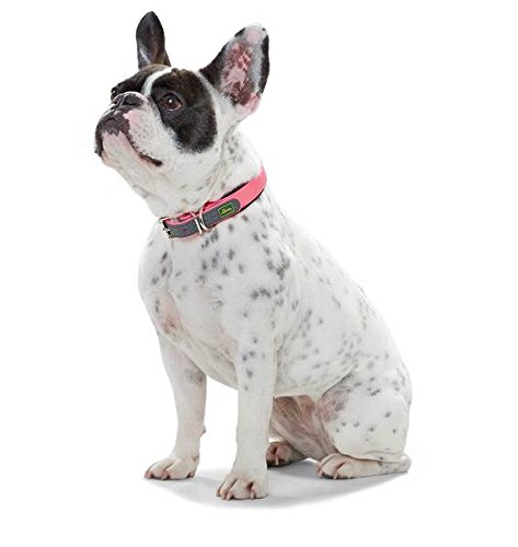 HUNTER Hundehalsband CONVENIENCE COMFORT, Farbe: neonpink, Mit Neopren-Polsterung, witterungsbeständig, pflegeleicht, ideal für Sport & Freizeit, Größe: 50