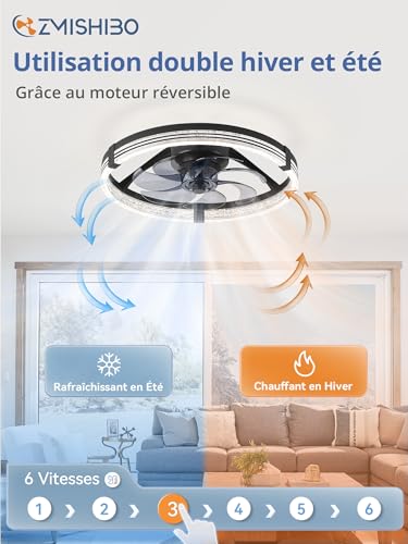 Ventilateur Plafond Chambre et Salon ZMISHIBO avec Timer Intégré