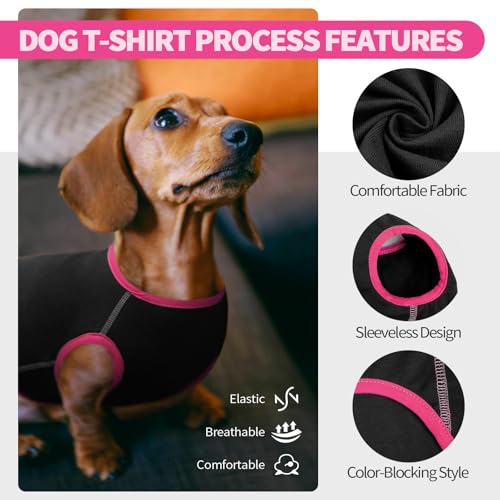 Hjyokuso Dackel Pullover - Fleece Hundepullover, Kleidung Für Kleine Hunde, Dachshund Sweater