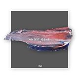Angst geht (Live)