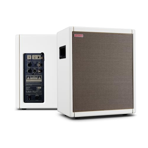 Positive Grid Spark Cab Gabinete de Altavoz de Amplificador de Guitarra, Alimentado para Amplificadores de la Serie Spark, Múltiples Instrumentos, Modeladores y Más. – Perlado - imagen 9