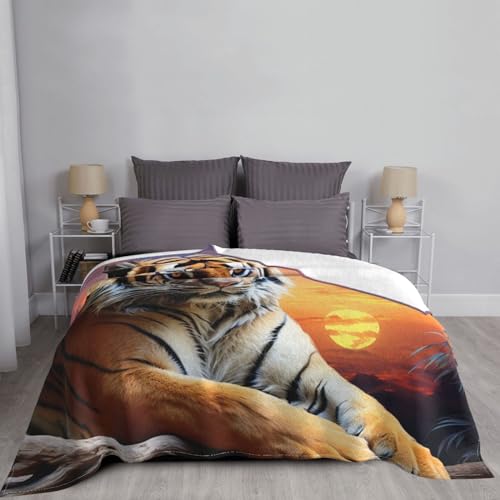 Couverture en peluche tigre 152x127 cm idée cadeau déco originale - 4