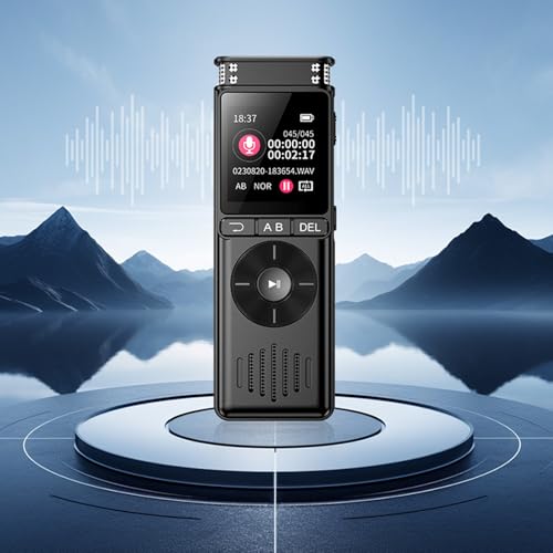 Dictaphone de conférence Denoise idéal pour vos grands cours d'amphi
