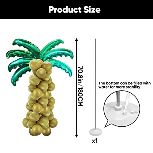 Reviews y listado de Palmera coco plumoso precio disponible en línea para comprar. 9 Imagen adicional
