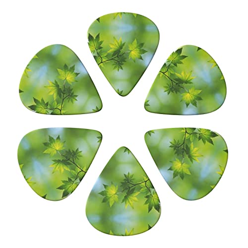 Hd Green Nature Lot de 6 médiators pour guitare acoustique, guitare électrique, basse, ukulélé – fins, moyens et épais - Les Beatles, Paul McCartney, John Lennon, RIngo Starr, George Harrison Hd Green Nature Lot de 6 médiators pour guitare acoustique, guitare électrique, basse, ukulélé - fins, moyens et épais – Image 5