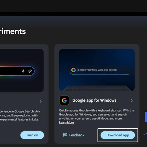 How to Download and Use Google&rsquo;s Search App on Windows 11