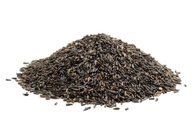 Nyjer Bird Seed 2 lb - High-Energy Food for Finches and Small Songbirds