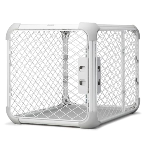 DIGGS Evolv Dog Crate - Slim, Durable Dog Kennel with Removable Ceiling Panel...