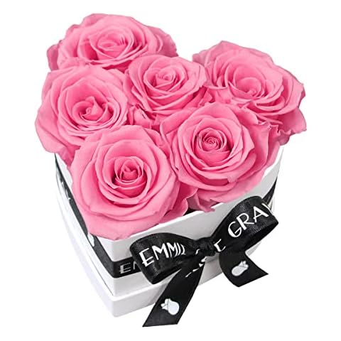 Caja de Rosas Classic Infinity de EG Emmie Gray Cover