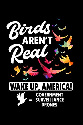 Birds Aren't Real Wake Up, America! Government Surveillance Drones: Do