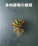 多肉植物の栽培