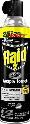 Raid Wasp And Hornet Killer 14 Oz. (Pack Of 6) #TOP2