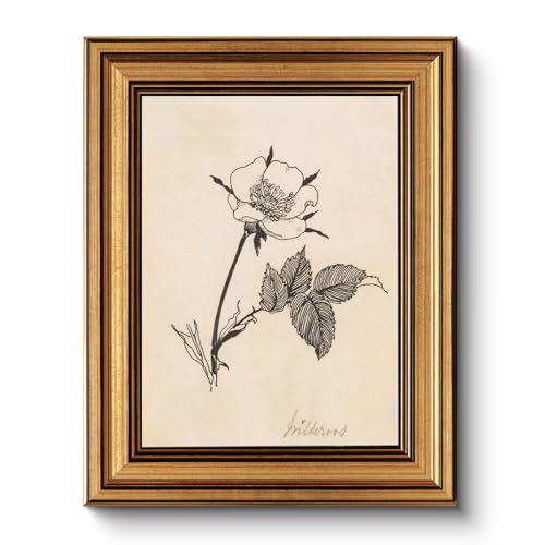 Image of HUARCEY Gold Framed Vintage Wall Art for Living Room, Flowers Painting Prints Shelf Decor for Kitchen, Aesthetic Bedroom Wall Art, Best Gifts for Friends or Family - Dog Rose 10L x 8W