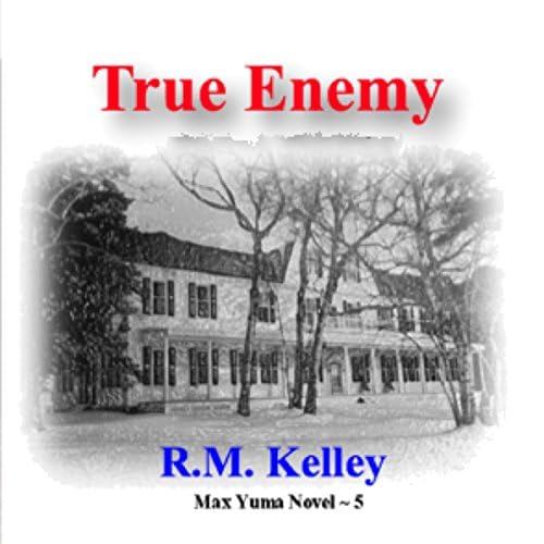 True Enemy - R. M. Kelley