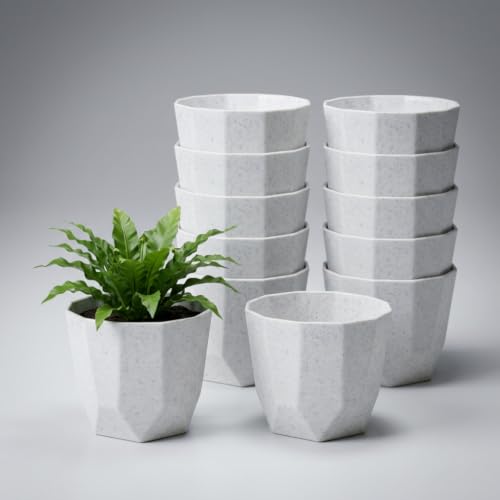 Image of YUCCABE ITALIA SHERA Hexa Round Plastic Flower Pot with Drainage Holes Planter Pot Suitable for Indoor Outdoor Kitchen Garden (Stone White, 8 Inch - 12 Pcs)