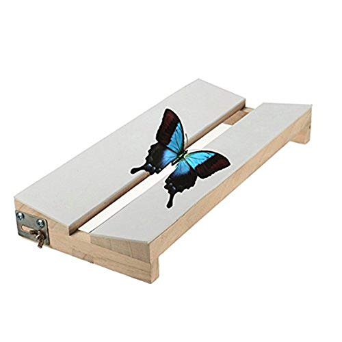 ANNIUP Verstellbares Montagebrett für Insekten, Schmetterlinge, massives V-förmiges Holz, Flügel