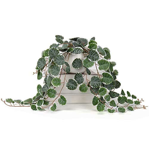 Briful Fake String of Hearts with Ceramic Pot