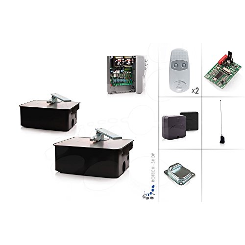 CAME FROG AE/2 Underground 230V motor - Kit M