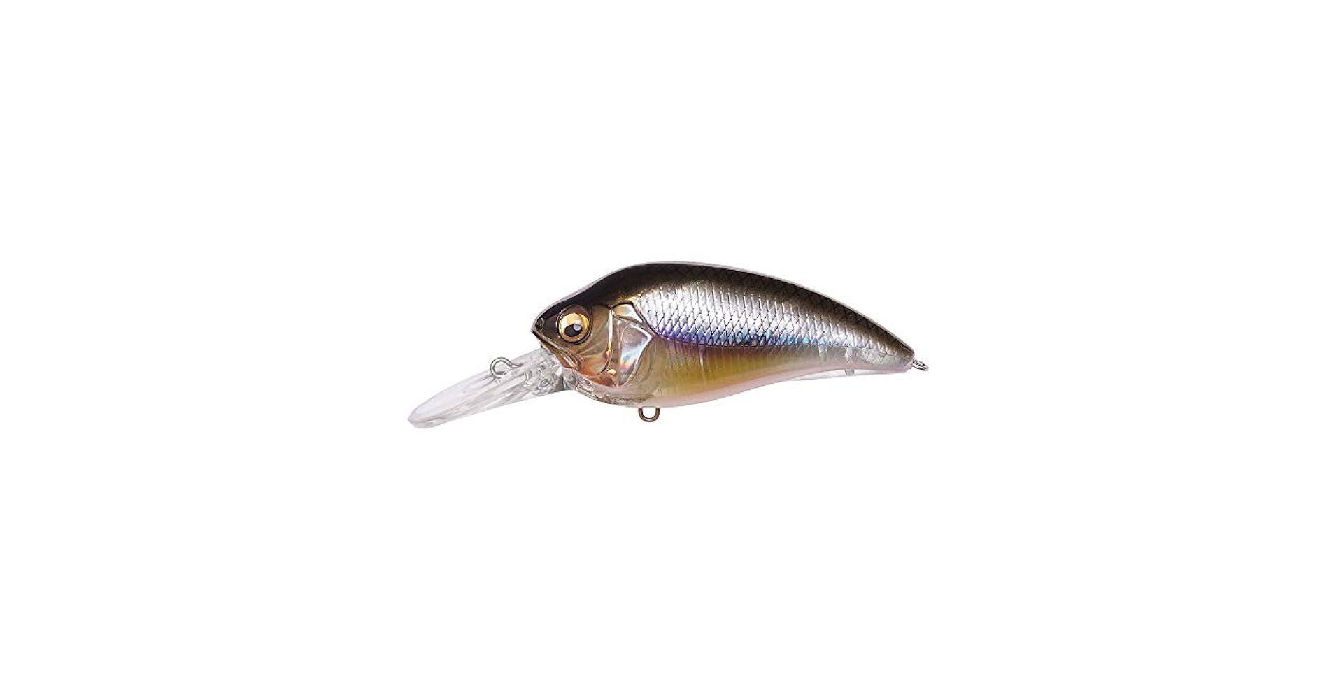 Megabass - megabass 20個セット Amazon.com : Megabass Super-Z Z-2 Deep Diving Crankbait - GG
