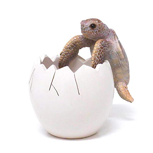 yX^h J T IuWF u BOB UP STAND (TURTLE) #57686