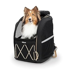ibiyaya – Pet Carrier with Wheels for Medium and Large Dogs – Champion 3-In-1 Large Dog Backpack Carrier with Water Resistant Fabric, Extra Storage, and Minimalist Folding and Storage – Jet Black