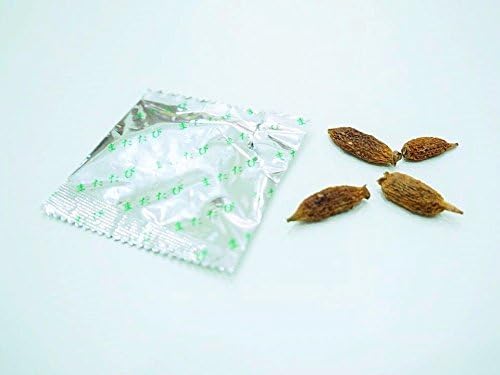 Silvervine Fruits (Matatabi, Japanese Catnip) - Organic Catnip Activity Cat Toy