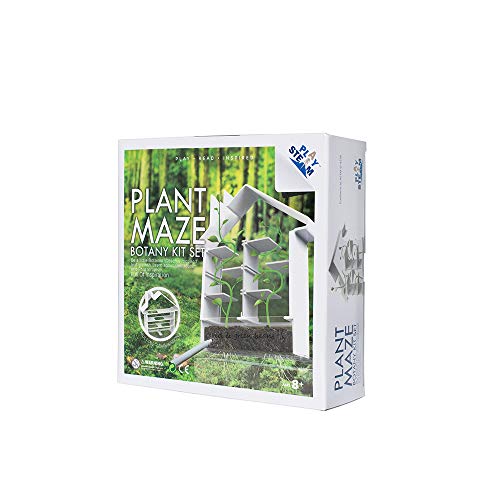 PLAYSTEM Kits de jardín – Cultiva tu Propio jardín de Hadas para niños – Maceta de Laberinto Fun Science Stem Learning Educativo (Frijoles Secos y Tierra no incluidos)