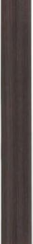 Minka Lavery Downrod Minka Aire DR572-GL Down Rod