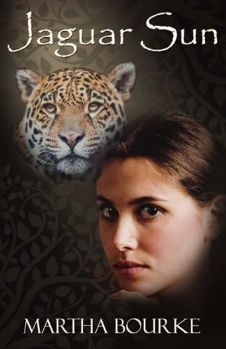 Jaguar Sun view 2
