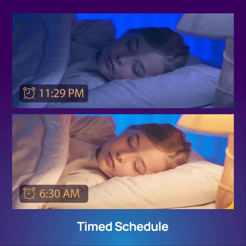 Mujoy Smart Edison Bulbs, 2700-6500K Tunable&Dimmable Amber Warm And Cool White Wifi E26 Led Edison Bulbs, 8W St19 800Lm 90+ Cri Vintage Filament Light Bulb, Compatible With Alexa、Google Home, 4Pack #TOP6