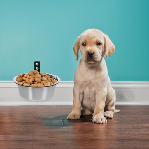 Toddmomy 1 Set An Der Wand Montierter Erhöhter Hundenapf Kisten-Wassernapf Hundenäpfe Für Kleine Hunde Praktischer Katzennapf Outdoor-Wassernapf Mittelgroßer Welpennapf Erbrechen
