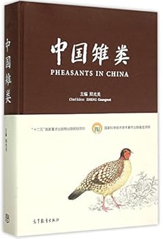 Paperback ????(?) [Chinese] Book