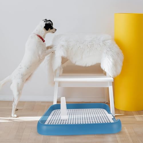 KAILIKETIY pgCg[ u[ ^^Ή vX`bN bV݌v AKi ~ߕt gCg[jOpi