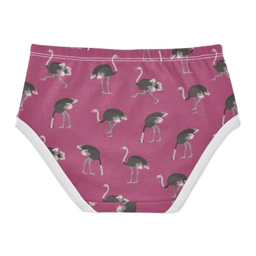 Little Girl Underwear Toddler Panties Kids Undies Ostrich Soft Cotton Briefs 2T-8Y2