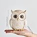 White and Gold Owl Statue - Cute Resin Figurine Home Decor for Desk Bookshelf Coffee Table, Gift for Owl Lovers, Office Living Room Bedroom Decor