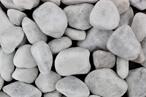 Gravier naturel Carrara - 5 kg - Grain lavé - 25 à 40 mm - Gravier de jardin - Gravier décoratif - Galets décoratifs