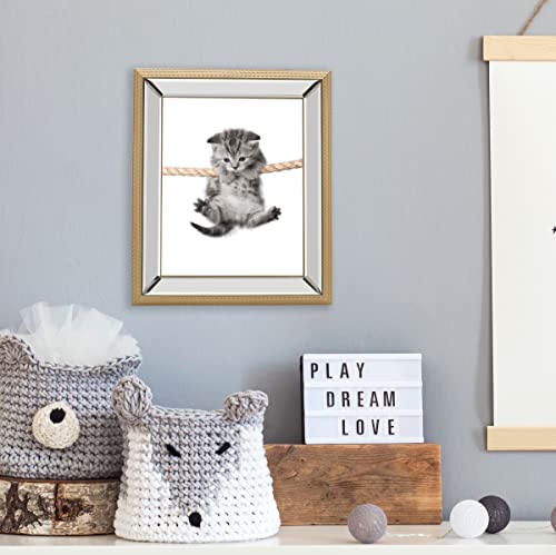 Mikasa 11 X 13 Inch Mirror Frame, Display 8 X 10 Photo, Gold Rope #TOP7