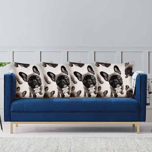 Housse de coussin bouledogue français 50x50 cm avec zip
