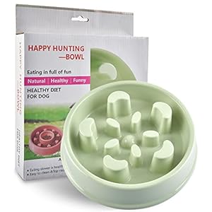 TANDD Slow Feeder Bowl, Anti-Choke Polypropylene Pet Bowls, Pets Water Bowl, Healthy Food Fun for Dog/Cat/Puppy (Green, Moon)