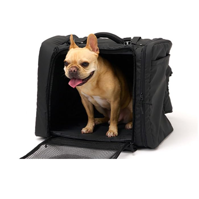 Amazon.co.jp: 【LIFELIKE公式】2WAYボックスキャリー 犬 バックパック