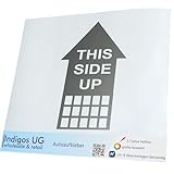 INDIGOS UG