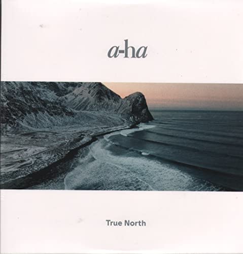 Album art for True North - Eco-Mix by a-ha